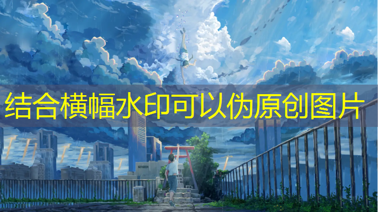 篮球体前变向训练器材 篮球体前变向训练器材