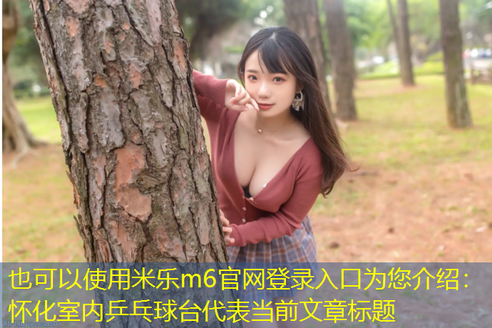 怀化室内乒乓球台